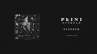 Plini – Flâneur Audio [upl. by Acceber]