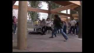 Revenge of The Ninja Sho Kosugi and Keith Vitale vs Hoodlums [upl. by Enyrat]