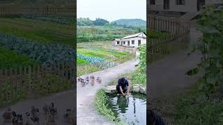 China Village chnese people Village life style Village life neture beauty villagelife nature [upl. by Virgin]