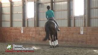 Dressage Expert Dr Ulf Moller on Creating Contact From Behind [upl. by Pinkerton]