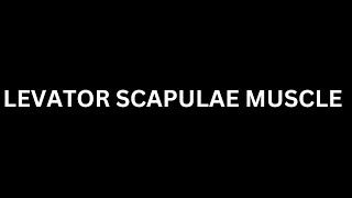 How to Pronounce quot Levator Scapulae Musclequot in EnglishHow To Say quotLevator Scapulae Musclequot [upl. by Vani]