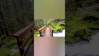 What Alaska in September is like hiking on a rainy day in Juneau in Tongass National Forest alaska [upl. by Lobell331]