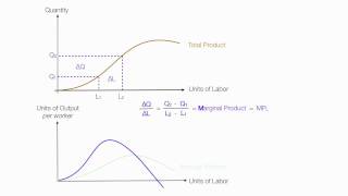 Introduction to Production Introduction Average Product Marginal Product Total Product [upl. by Isyed]