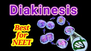 DIAKINESIS  PROPHASE 1  MEIOSIS  CELL CYCLE AND CELL DIVISION  NEET 2020  PRANAV SHARMA [upl. by Kamerman845]