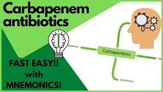 Antibiotics Carbapenems  MADE EASY with mnemonics and visual learning [upl. by Sharyl]