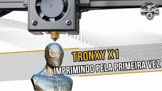 Como Imprimir a Primeira Vez  Impressora 3D Tronxy X1 [upl. by Segalman]