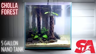 Cholla Wood Forest 5 Gallon Nano Tank Planted Aquarium Setup Video Episode 1 [upl. by Elden]