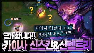 땅우양 새로운 카이사 AD템트리 강의 암흑의 별 카이사로 직접 해봤습니다【원딜 강의】【전프로원딜】【카이사 강의】 [upl. by Neyrb]