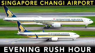 SINGAPORE CHANGI AIRPORT  Evening RUSH HOUR  PLANE SPOTTING [upl. by Barram]