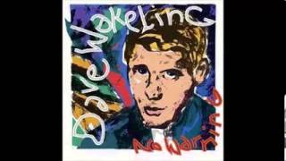 Dave Wakeling  No Warning  Remember in the Dark [upl. by Norel515]