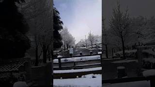 TOYAMA 雪 SNOW 降雪 積雪 ゆき 五福末広町 交差点 富山県五福公園 五福野球広場 県営富山野球場 富山県道44号 富山高岡線 富山市 drive ドライブ 2024年3月 [upl. by Mohr]