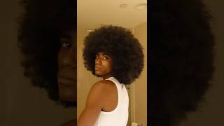 The Biggest Afro afro blackhair hair naturalhair curls curlyhair hairstyles haircare [upl. by Caitrin]