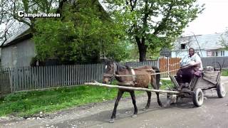 Paard en Wagen Roemenië [upl. by Imehon]