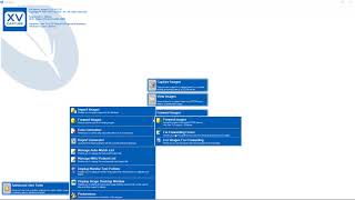 Training Apteryx XrayVision DCV Forwarding Images to the Server [upl. by Otilegna391]