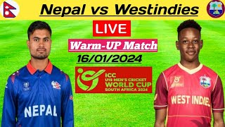 Nepal vs West indies Warm Up match Live  ICC world cup under 19 In South Africa [upl. by Methuselah]