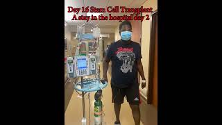 Day16 Stem Cell Transplant multiplemyeloma bonemarrowtransplant bloodcancerawareness bloodcancer [upl. by Heyer]