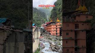 ॥गंगोत्री यमुनोत्री धाम॥trending ganga shortvideo nature chardhamyatra gangariver 🙏🙏 [upl. by Aynotahs]