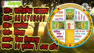 SWARNA SEEDS PADDY SHREYA  শ্রেয়া ধান ফলনের রাজা।জিরা jira agriculture ধান amarshikdar3603 [upl. by Yesdnil918]