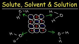 Solute Solvent amp Solution  Solubility Chemistry [upl. by Anett]