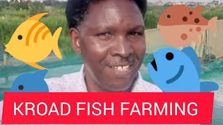 AMAZING FISH FARMING‼ KROAD KENYA 🇰🇪 [upl. by Noiramaj971]