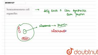 Semiautonomous cell organelles [upl. by Ardnassac]