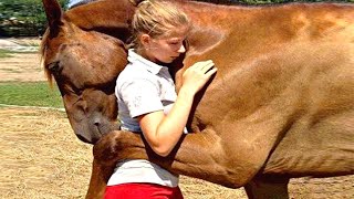 Des Animaux Réunis avec leur Maître des Années Après [upl. by Jessica984]