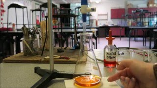 AQA Required Practical  Neutralisation How to carry out a titration [upl. by Isadore]