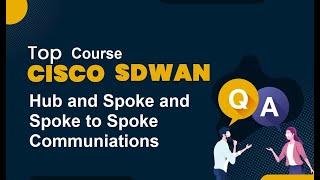 Cisco SDWAN Hub and Spoke and Spoke and Spoke Communications [upl. by Galvin]