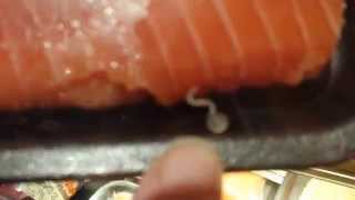 Live worms on salmon at Byerlys [upl. by Hound]