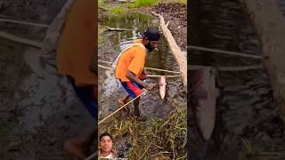 The best soothing skills 😱 fish fishing fishingtips viralvideo [upl. by Ynnohj]