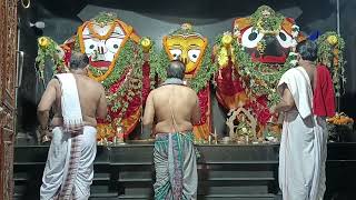 Shri Jagannath Mangal Arati Darshan 🙏 Date 28082023 [upl. by Emmer]