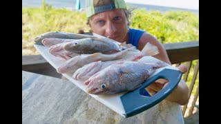 How to Catch Clean and Cook Croaker  Awesome Croaker Recipe [upl. by Frederik]