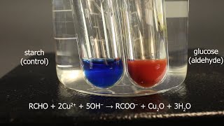 Fehlings solution test for aldehydes using glucose for positive result and starch for control [upl. by Llirret890]