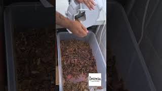 Biltong Slicing chowza16 [upl. by Einolem]