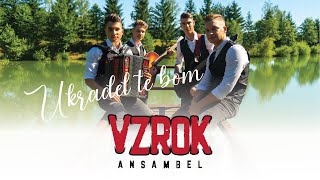 ANSAMBEL VZROK  UKRADEL TE BOM Official Video [upl. by Nreval]