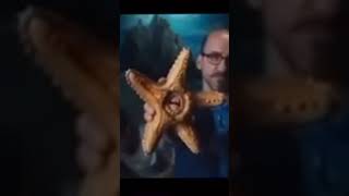 That doesn’t taste like a gusher meme humor ink starfish vsauce laugh [upl. by Mourant159]