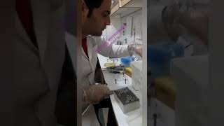 اموزش کامل انجام PCR و کار با دستگاه PCR test [upl. by Lothar]