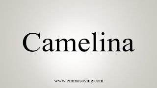 How To Say Camelina [upl. by Nissensohn111]