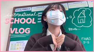 VLOG  외국인 국제학교 브이로그🏫  Korean international school vlog  해부학🫀 fetal pig dissection🐖 [upl. by Aisha862]