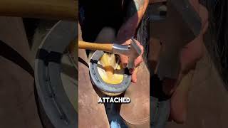 Do Horseshoes HURT Horses 🤨santafefarrier [upl. by Treva]