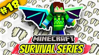 Collecting elytra in Minecraft 120 survival series episode 18 [upl. by Pearson33]