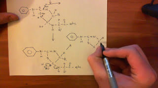 Protein sequencing  Edman Degradation Part 2 [upl. by Silisav]