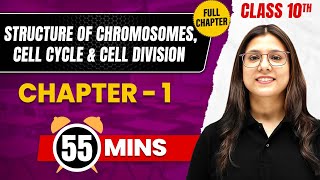 STRUCTURE OF CHROMOSOMES  CELL CYCLE amp CELL DIVISION in 55 Mins  Complete Chapter  Class 10 ICSE [upl. by Joses]