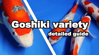 Goshiki  Koi Fish variety Guide [upl. by Wilburn201]