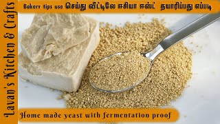 Home made yeast in tamil Dry Yeast Liquid Yease in  How to make yeast at home [upl. by Kraul]