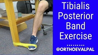 Tibialis Posterior strengthening exercise with a band [upl. by Maryjane68]