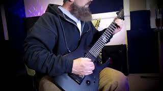 MEMORIAM Undefeated Pro Audio Guitar Cover [upl. by Leonhard]