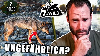 Schöne Begegnung oder gefährlich EXTeilnehmer reagiert auf 7 vs Wild Teams Folge 2  Otto [upl. by Chaves]