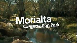 Morialta Conservation Park [upl. by Maggie454]