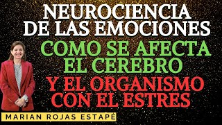 š§ NEUROCIENCIA DE LAS EMOCIONES  Dra marian Rojas Estape [upl. by Llywellyn]